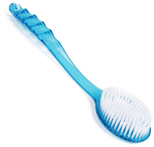 Long Handle Bathing Brush