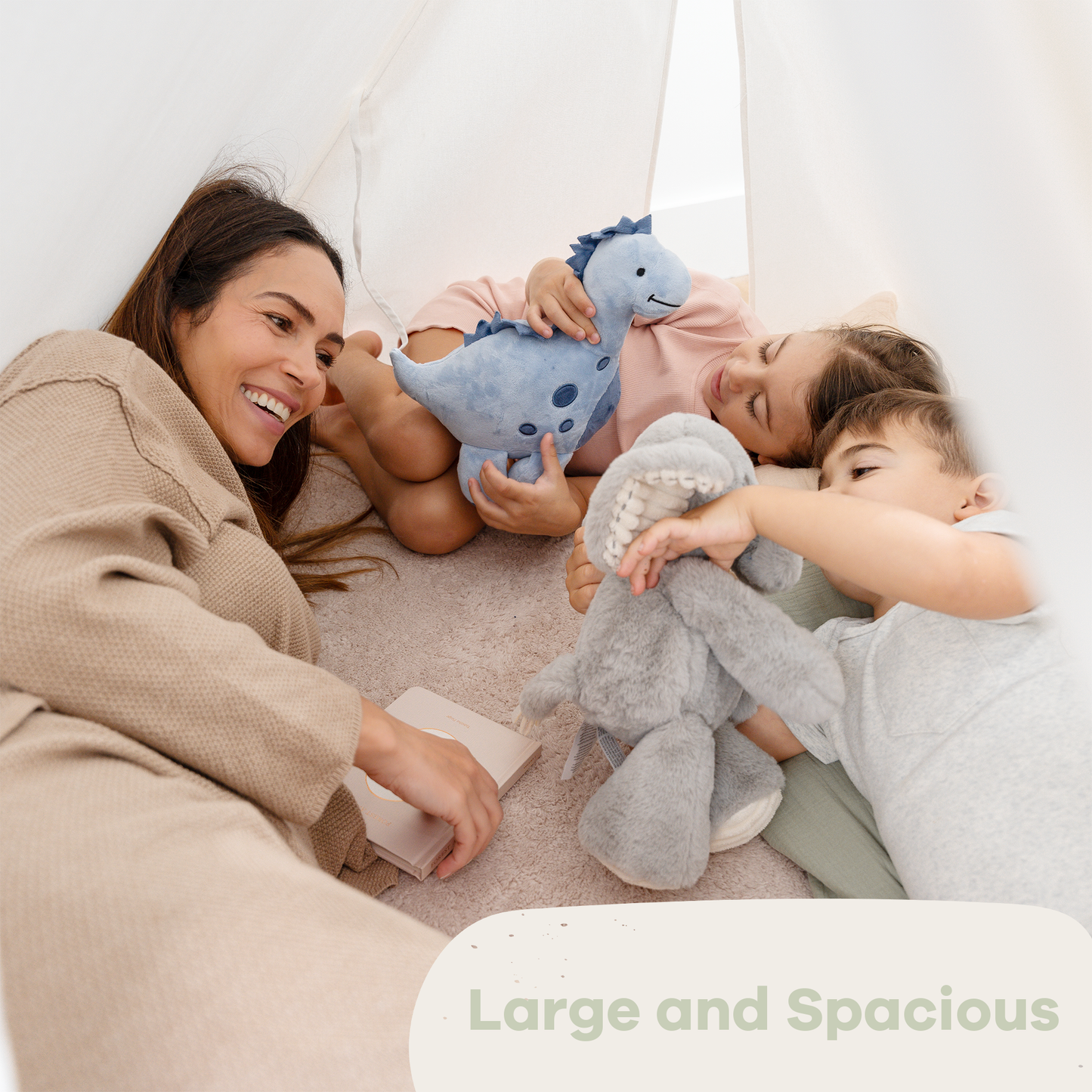 Indoor Play Tent