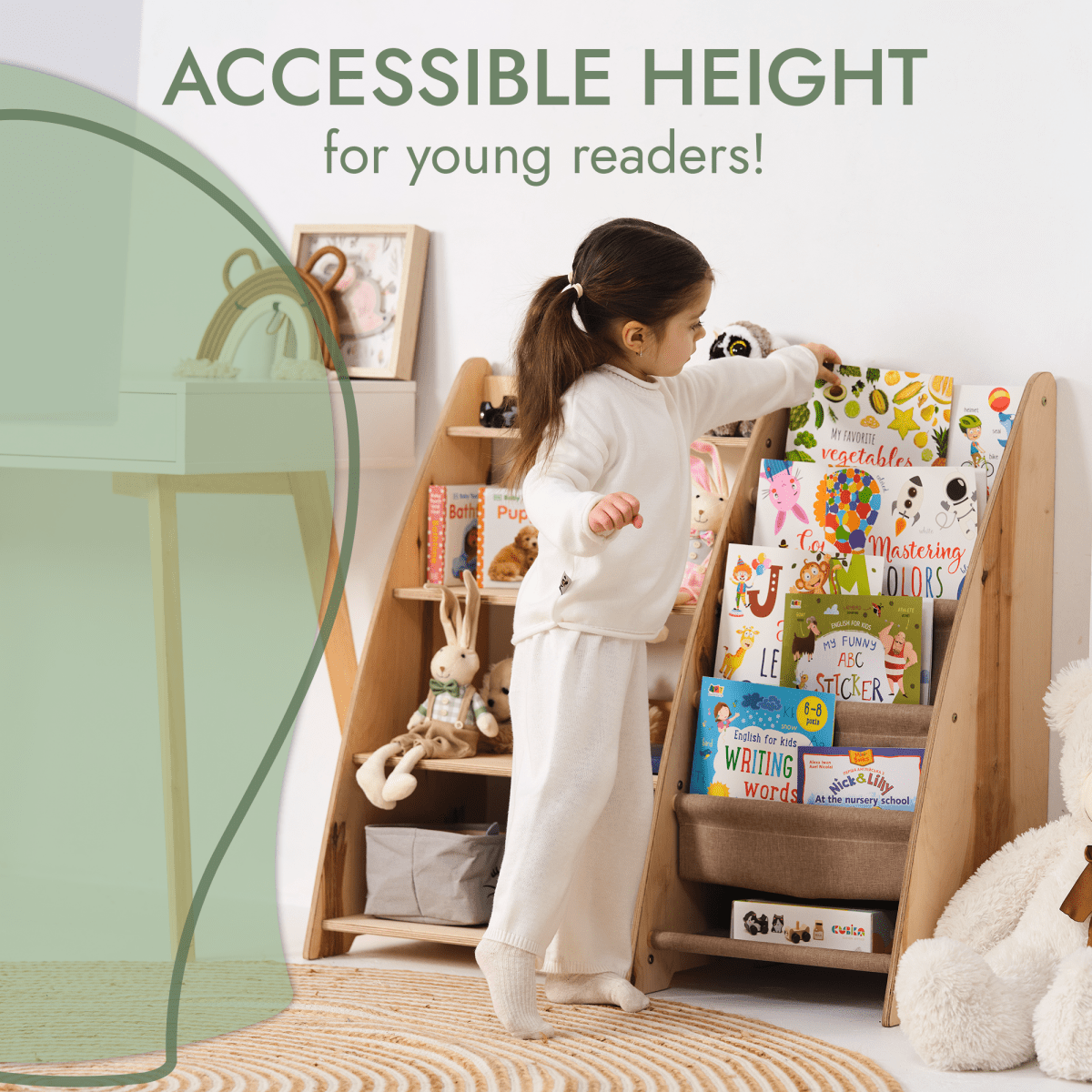Book/Toy Organizer