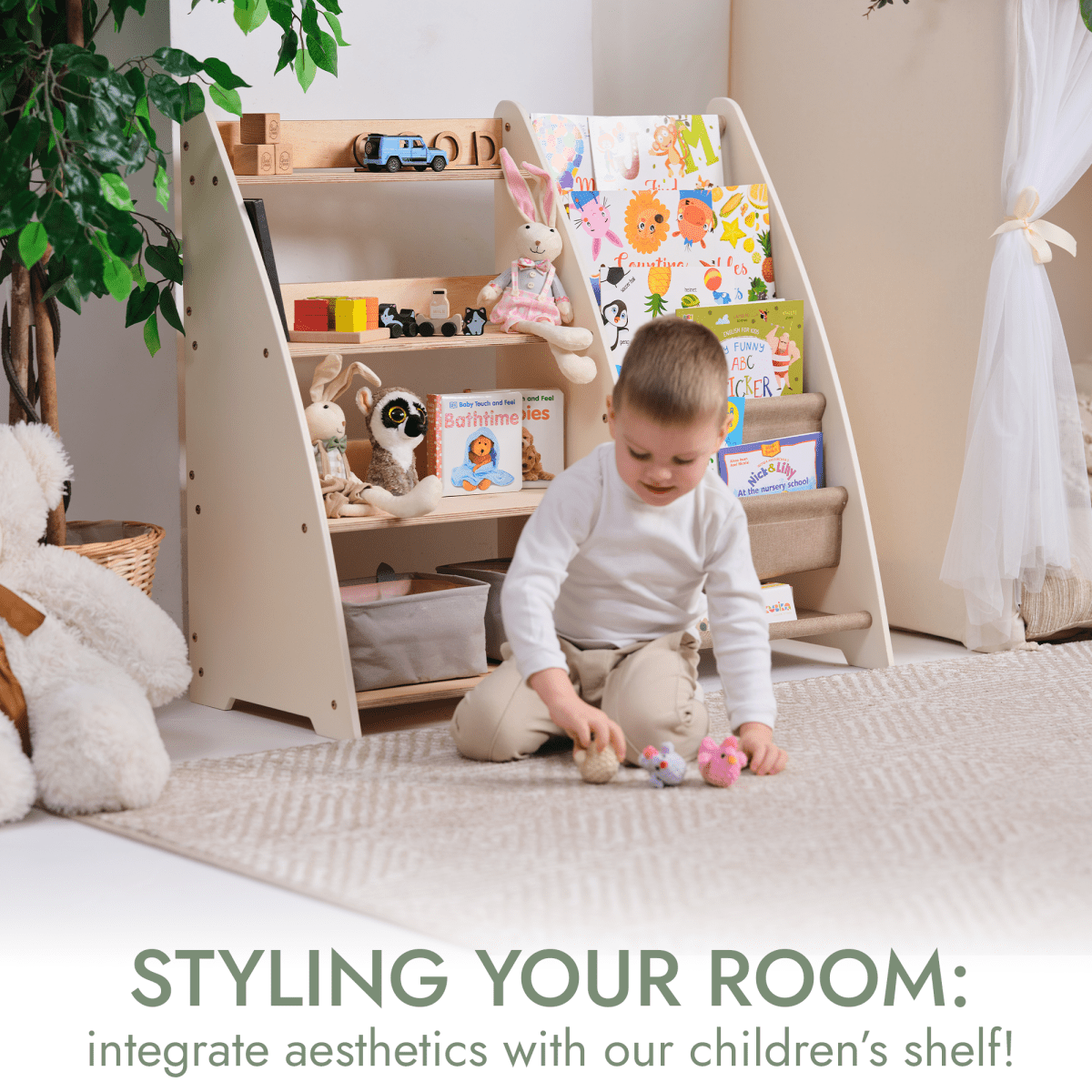 Book/Toy Organizer