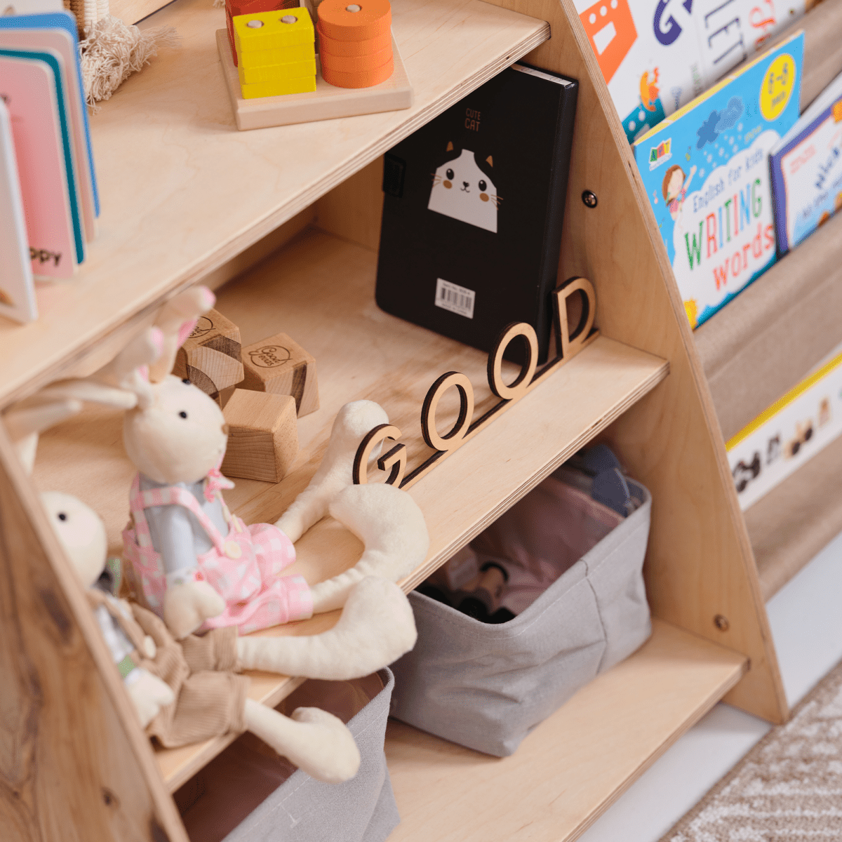 Book/Toy Organizer