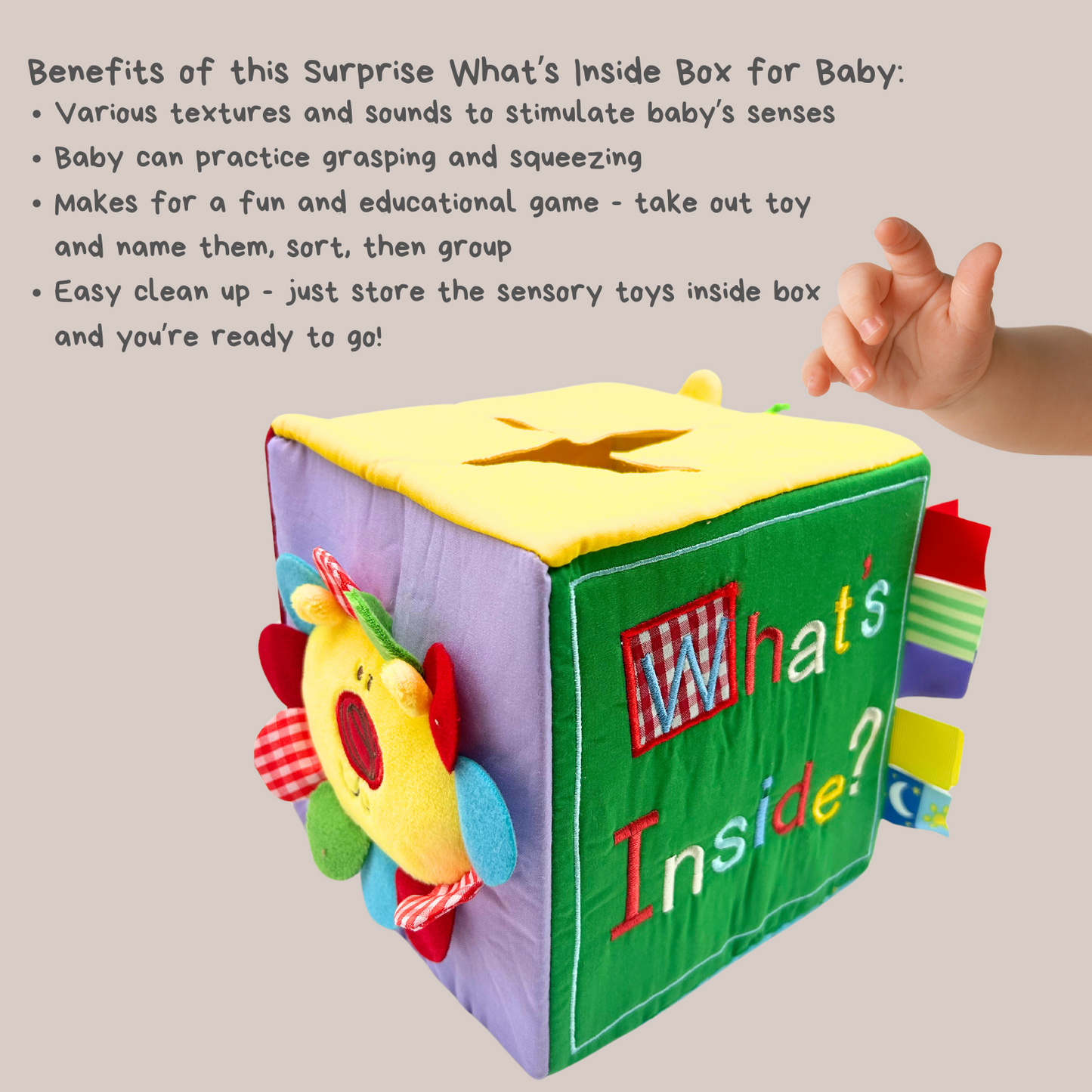 Surprise! What's Inside Box?