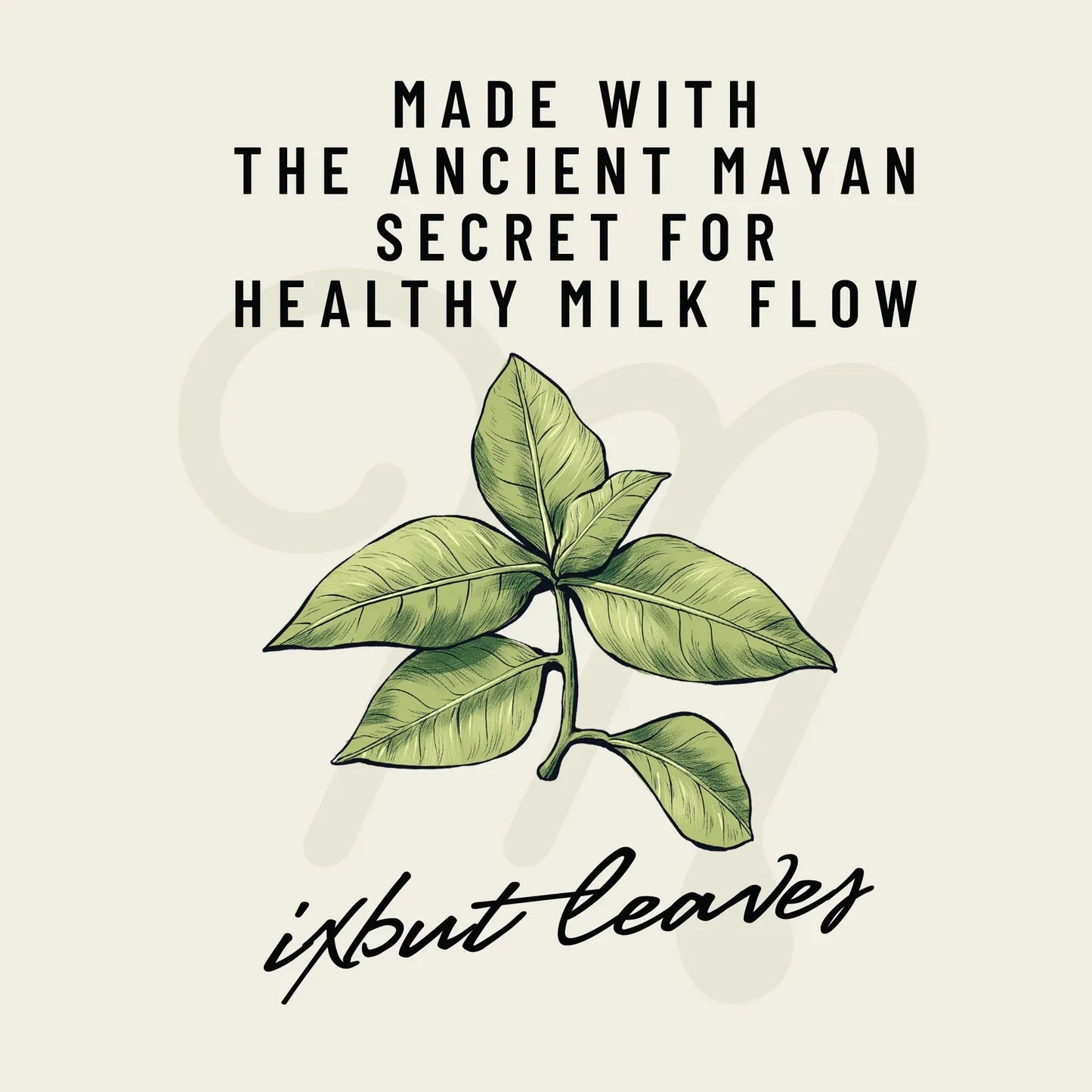 Legendairy Milk Tea-Tas