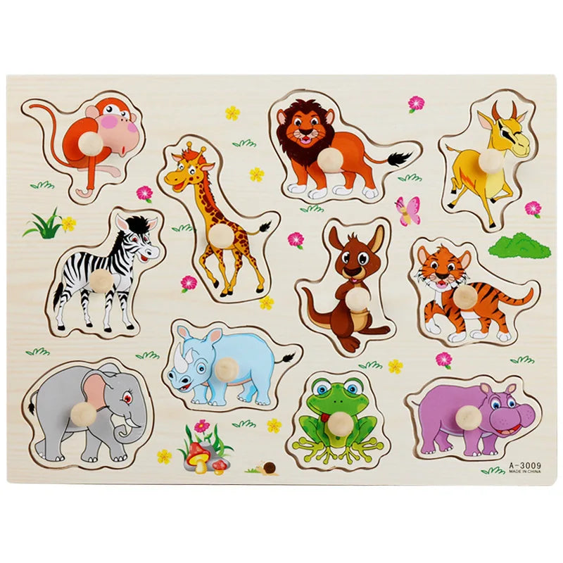 Wooden Educational Puzzles