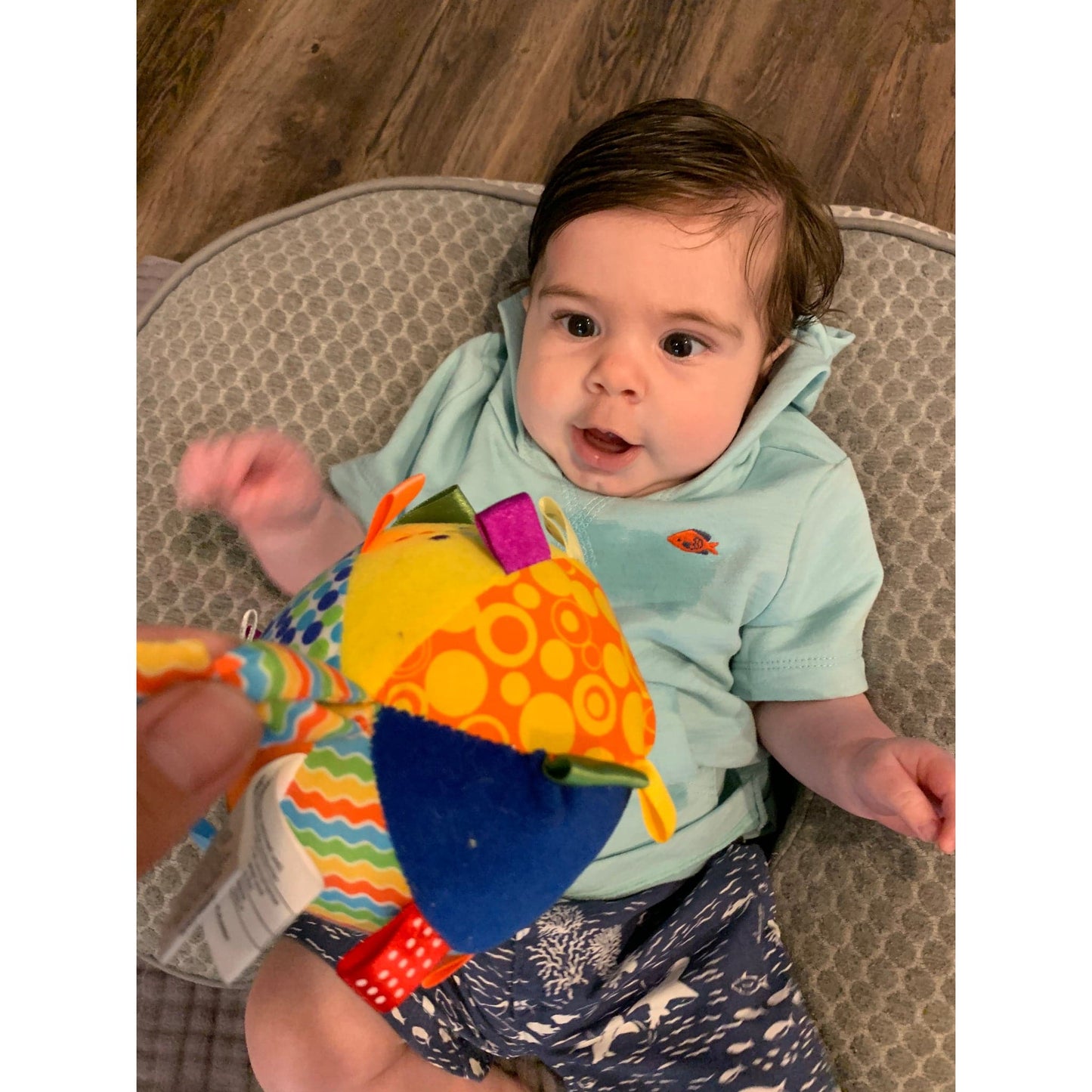 Plush Infant Sensory Toy