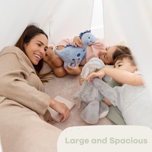 Indoor Play Tent