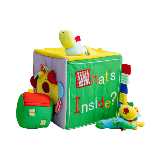 Surprise! What's Inside Box?