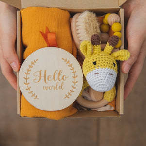 Teething Toy & Sensory Development Gift Set