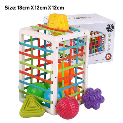 Baby Grip Training Toy – Fine Motor Skill Development Sensory Blocks