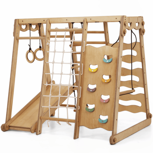 6-in-1 Indoor Jungle Gym
