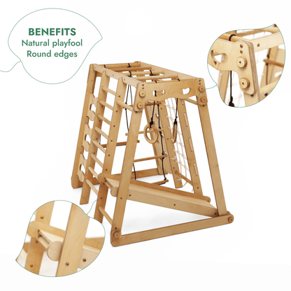 6-in-1 Indoor Jungle Gym