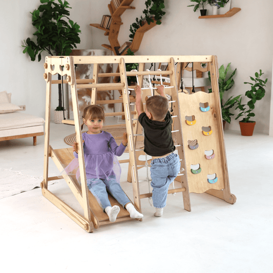 6-in-1 Indoor Jungle Gym