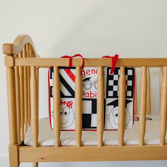 Crib/Car Mirror w/ High Contrast Colors