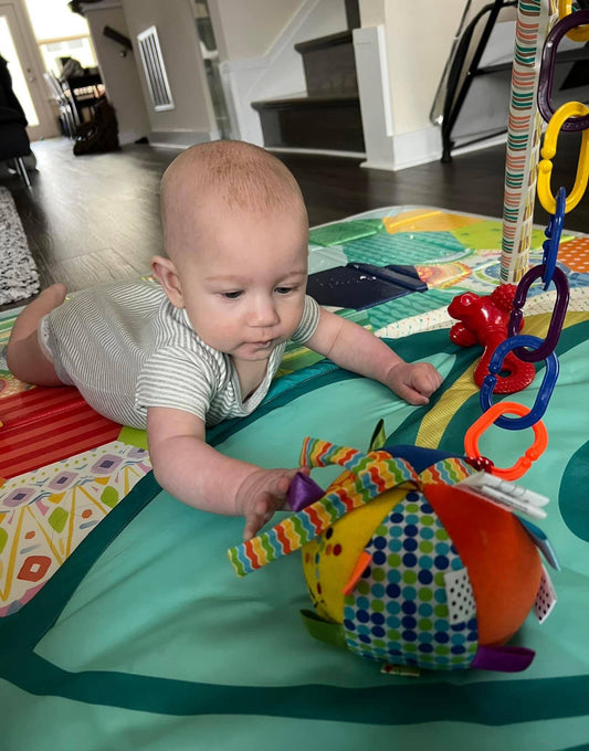 Plush Infant Sensory Toy