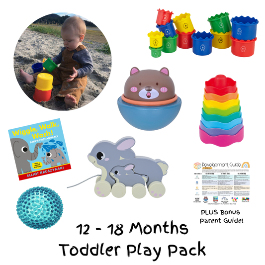 1st Birthday Milestone Play Pack